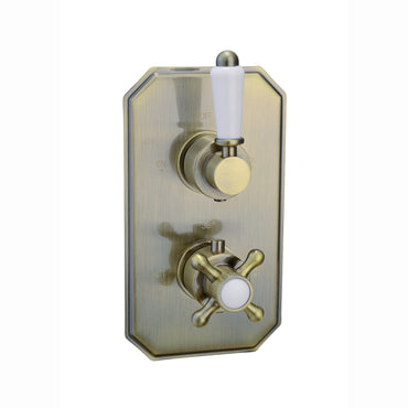 Regent thermostatic concealed shower mixer valve with dual rigid riser kit and bath filler waste & overflow - antique brass
