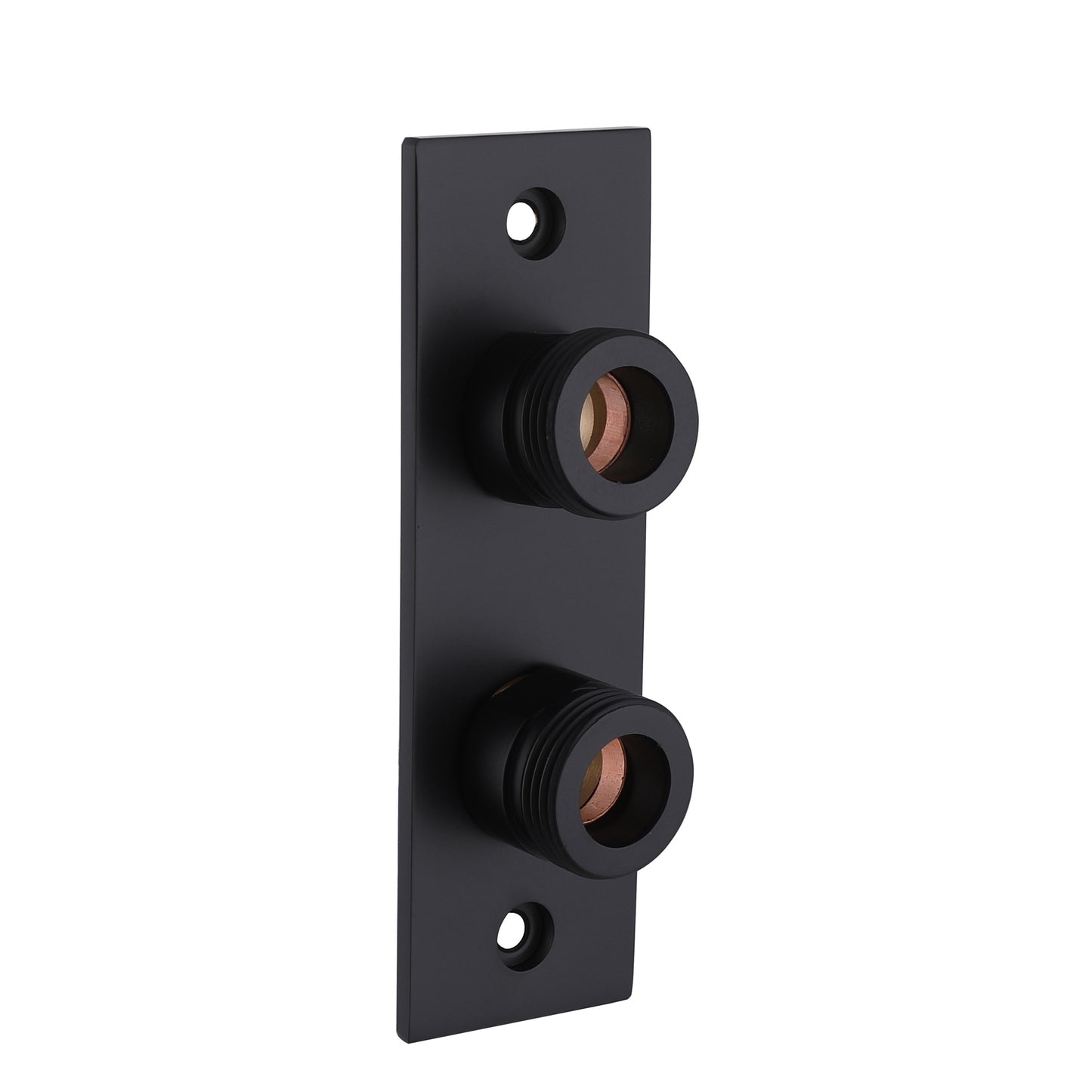 Wall Plate for exposed mini - Matt Black (SH8220)