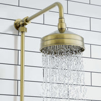 Traditional shower head apron rose brass 6" - antique bronze