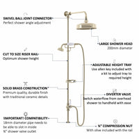 Buy Downton traditional shower riser rail kit 2 outlet soap dish watercan head 200mm - gold Online UK | HOUSE OF ENKI