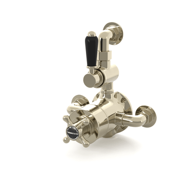 Buy Downton traditional twin thermostatic shower valve semi-exposed - gold with black lever Online UK | HOUSE OF ENKI