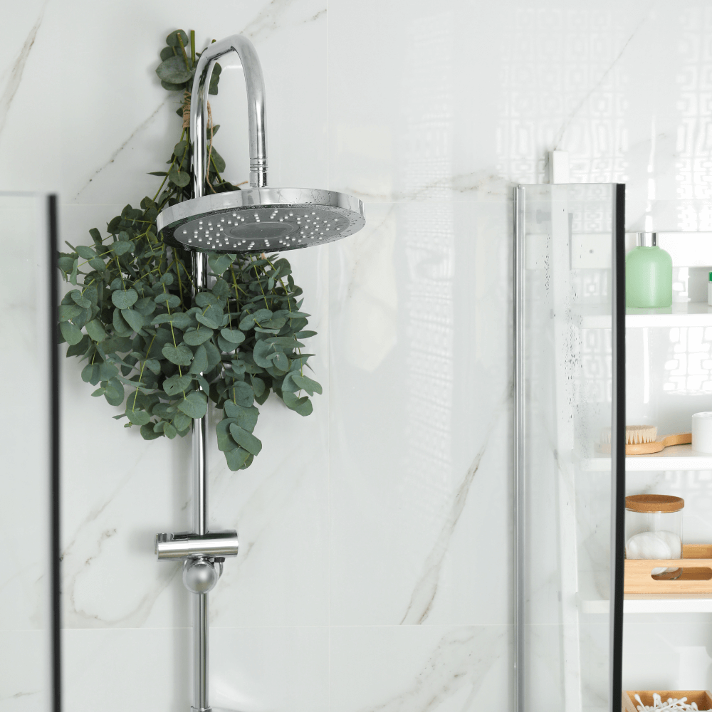 Rigid Riser Shower Kits: Must-Read Guide + Tips for Choosing