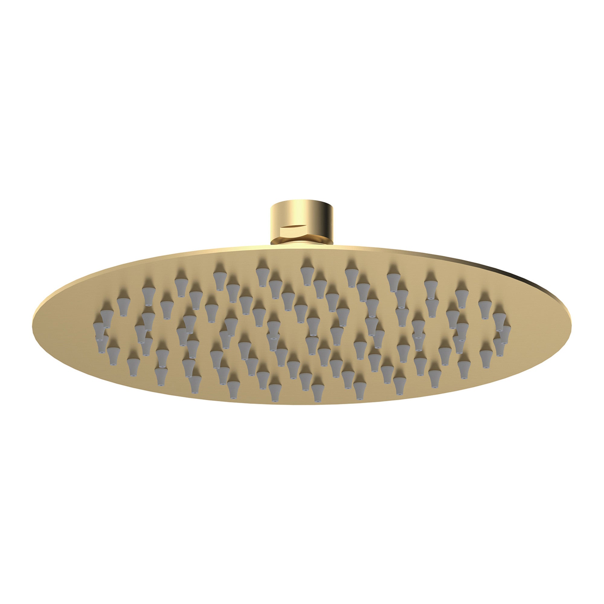 Round ultra slim shower head stainless steel 200mm - brushed brass