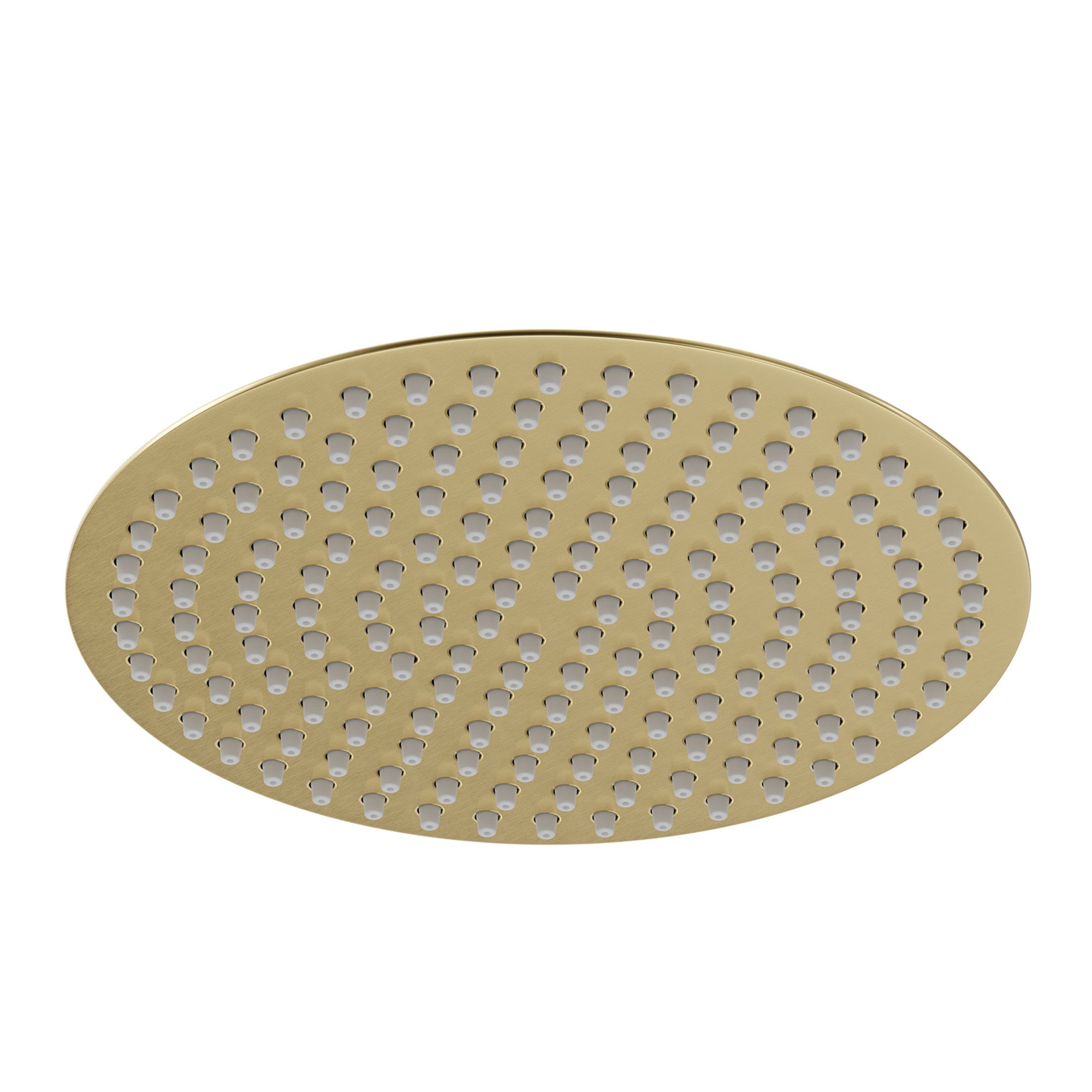 Round ultra slim shower head stainless steel 300mm - brushed brass