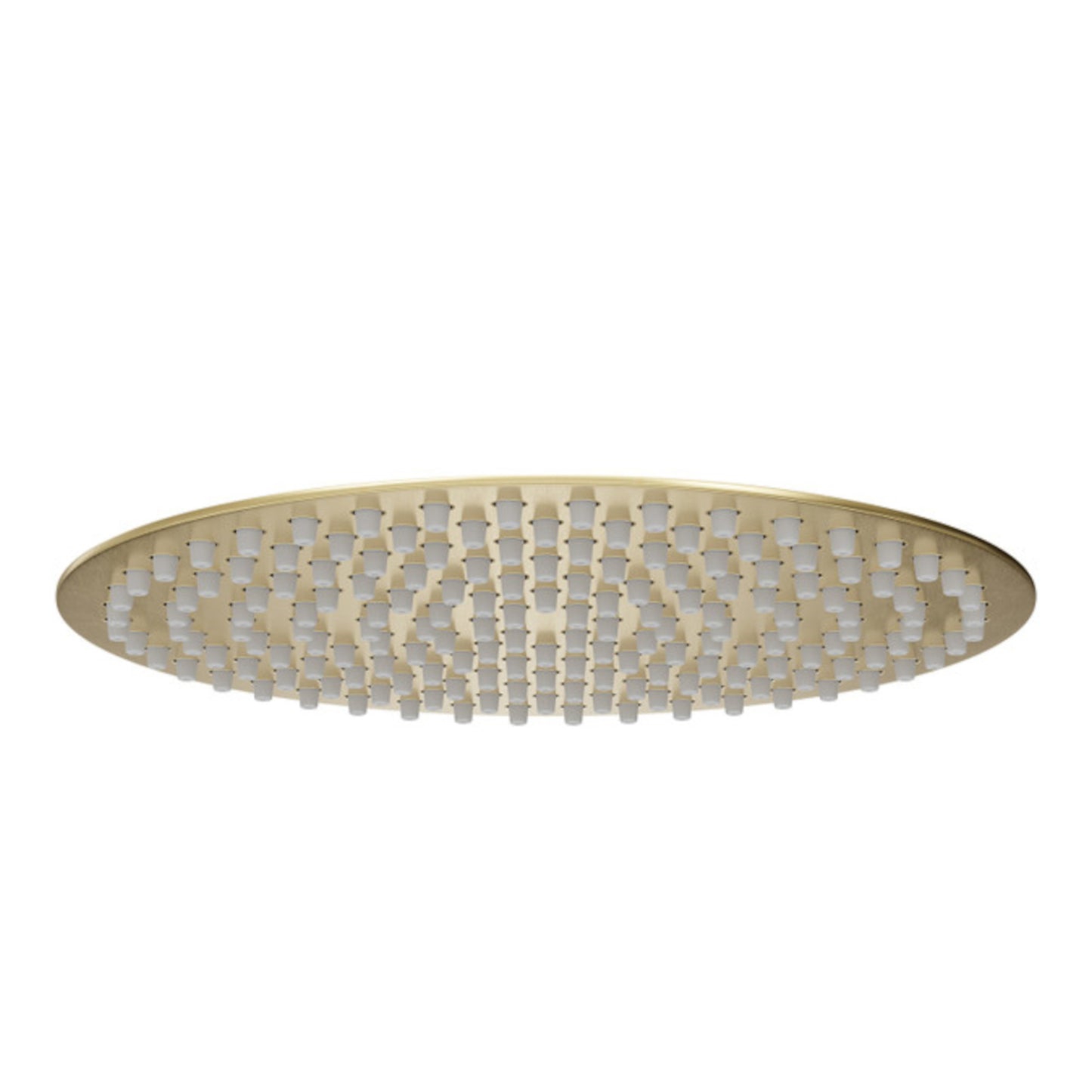 Round ultra slim shower head stainless steel 300mm - brushed brass