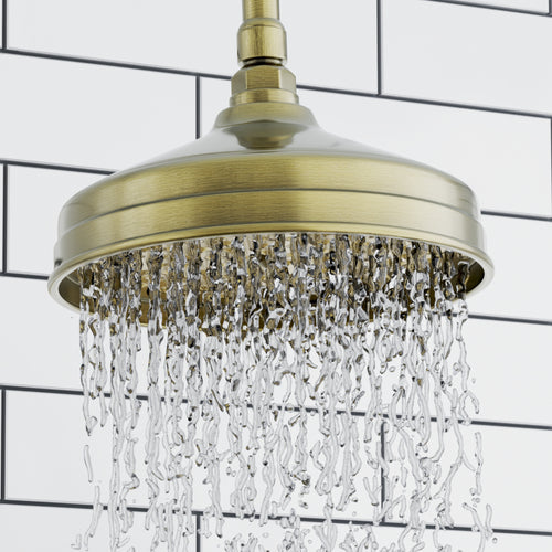 Dune traditional dual shower riser rail kit for exposed installation - antique brass