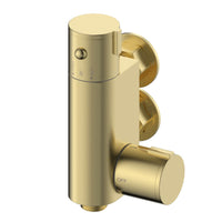 Vero round douche thermostatic bar valve with shower spray kit - brushed brass