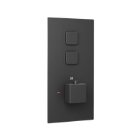 Spello square push button concealed thermostatic shower valve with 2 outlets - black