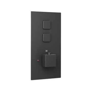 Spello square push button concealed thermostatic shower valve with 2 outlets - black