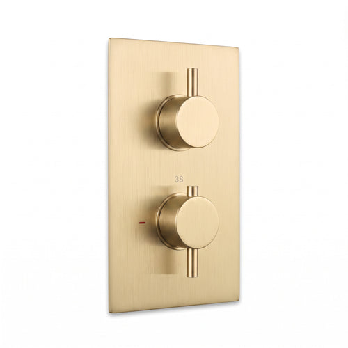 Naples contemporary round concealed thermostatic twin shower valve with 1 outlet - brushed brass