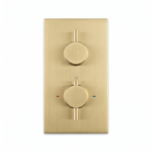 Naples contemporary round concealed thermostatic twin shower valve with 1 outlet - brushed brass