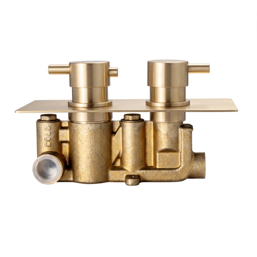 Naples contemporary round concealed thermostatic twin shower valve with 1 outlet - brushed brass