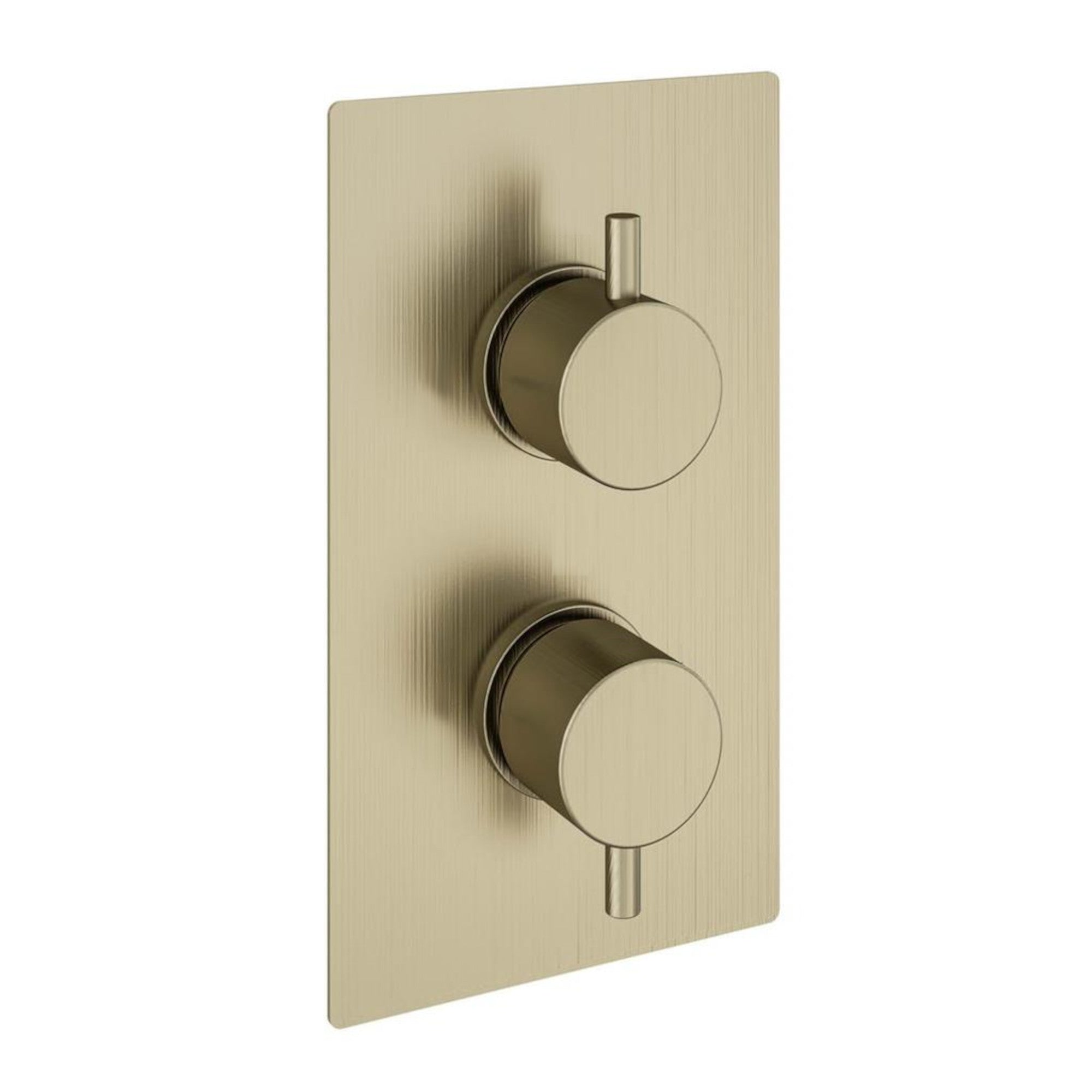 Naples contemporary round concealed thermostatic twin shower valve with 2 outlets - brushed brass