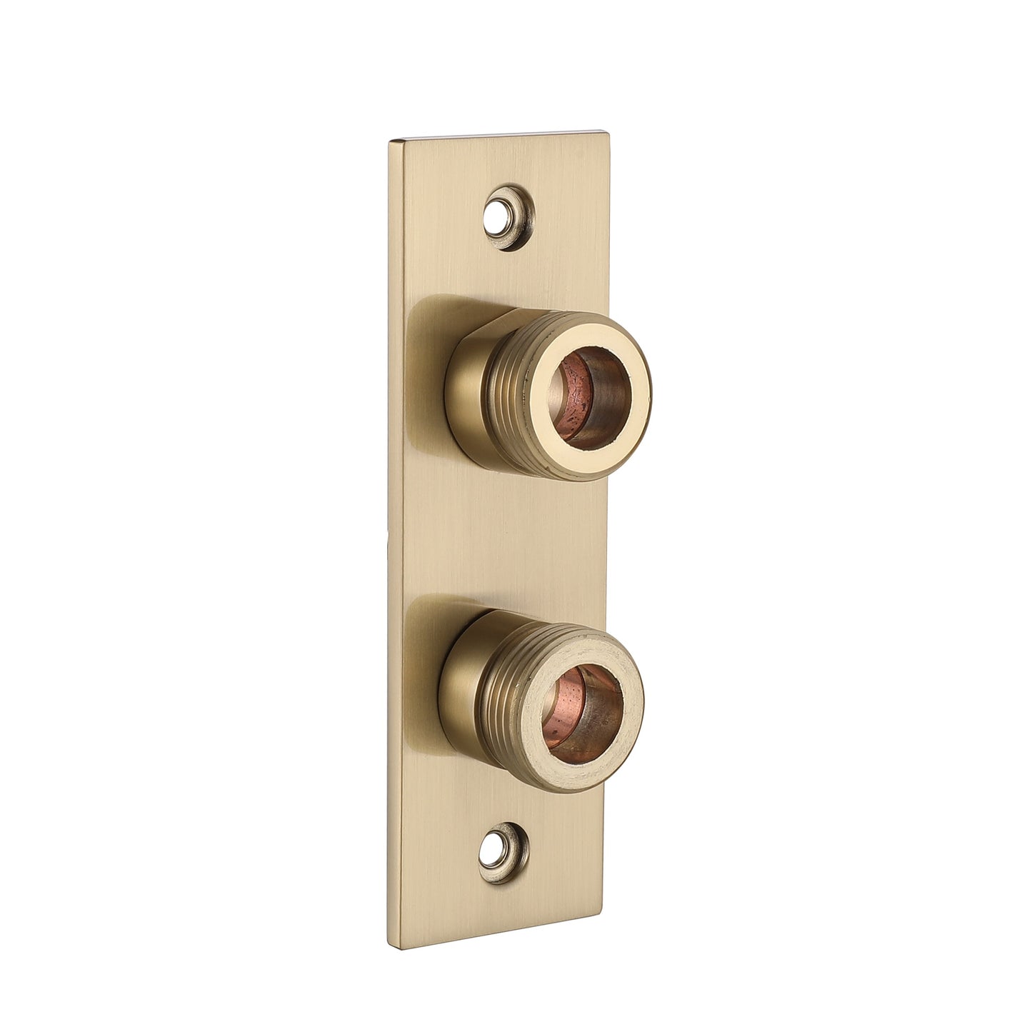 Wall Plate for exposed mini - Brushed Brass (SH8217)