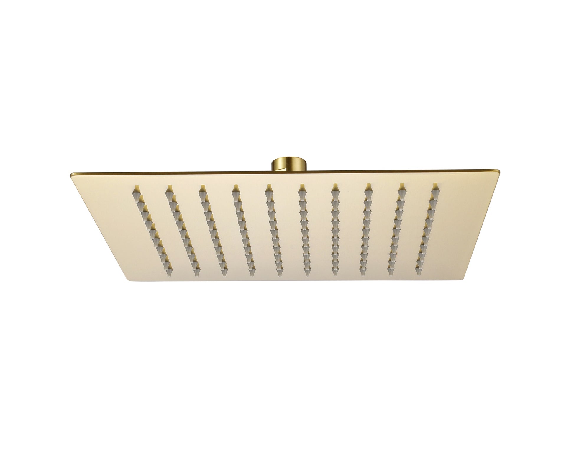 Brushed Brass Slim shower head - Brushed Brass (SH8303)