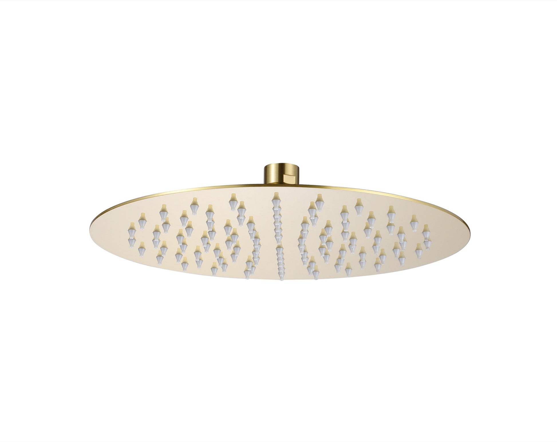 Brushed Brass Slim shower head - Brushed Brass (SH8313)