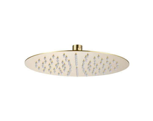 Brushed Brass Slim shower head - Brushed Brass (SH8313)