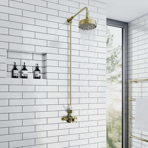 Buy Downton shower rigid riser rail traditional - antique brass online UK