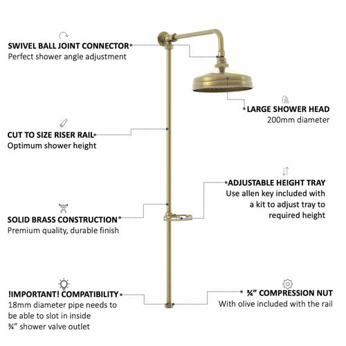 Buy Downton traditional shower riser rail kit with soap dish watercan head 200mm - antique brass online UK