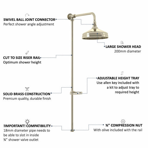 Buy Downton traditional shower riser rail kit with soap dish watercan head 200mm - gold online UK