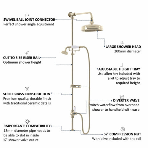 Buy Downton traditional shower riser rail kit 2 outlet soap dish watercan head 200mm - gold online UK